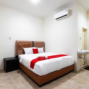 Kamar king